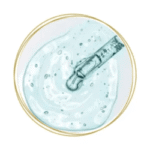 http://oficialsitecompra.com.br/wp-content/uploads/2025/08/composicao-legacyskin-original-com-TRANS-RESVERATROL.png